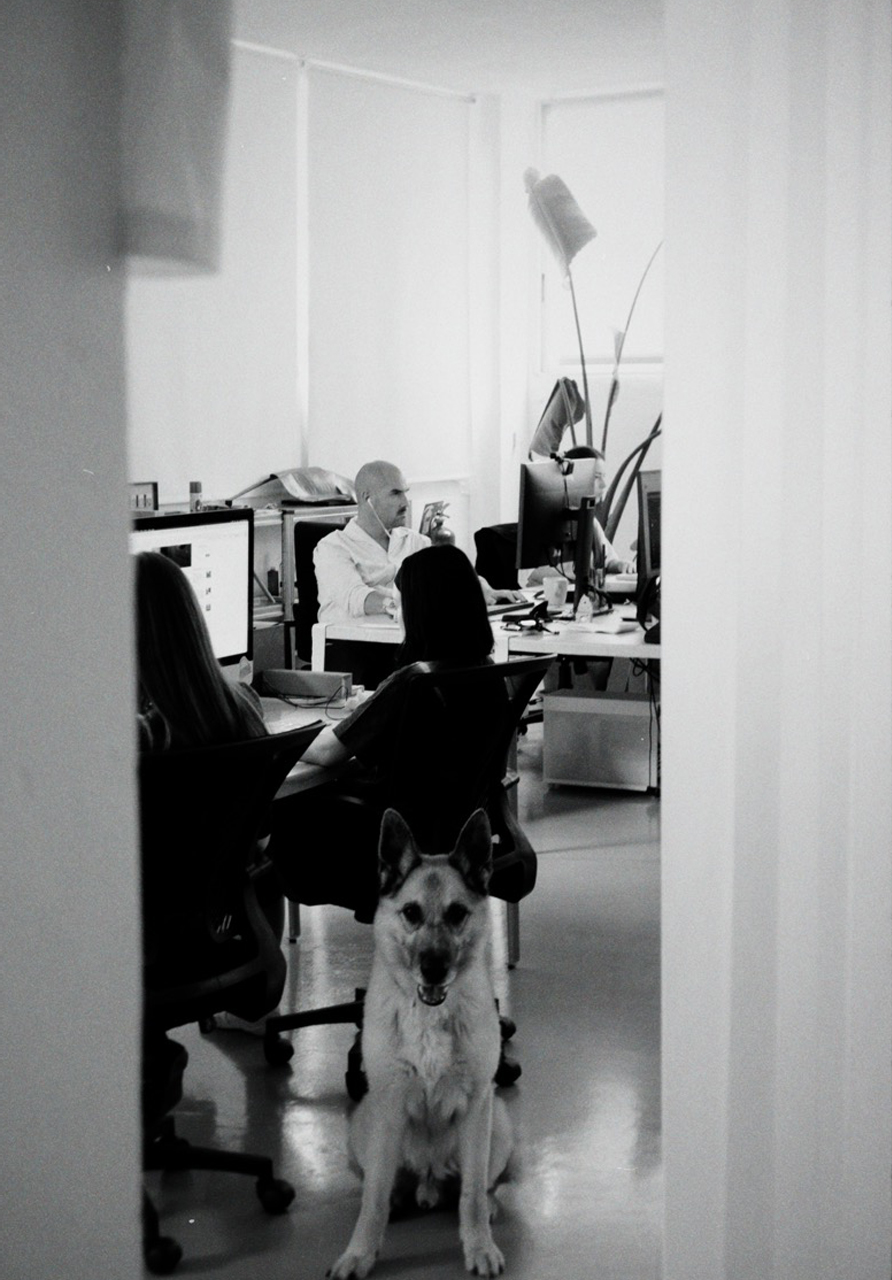 3tg — Tres Tipos Gráficos, nosotros (fig. 10)