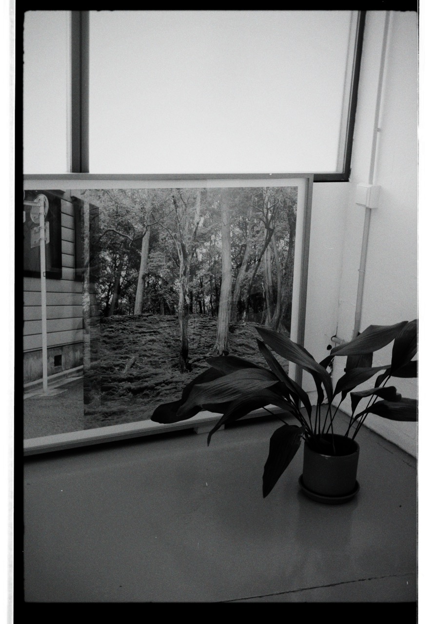 3tg — Tres Tipos Gráficos, nosotros (fig. 6)