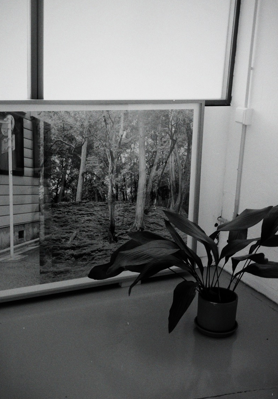 3tg — Tres Tipos Gráficos, nosotros (fig. 6)