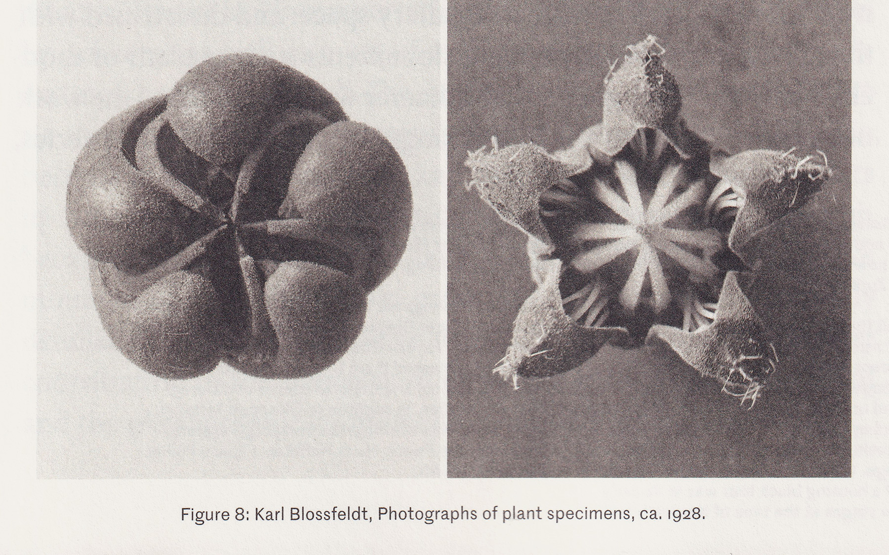3tg — Tres Tipos Gráficos, project: Seamless (fig. 4)