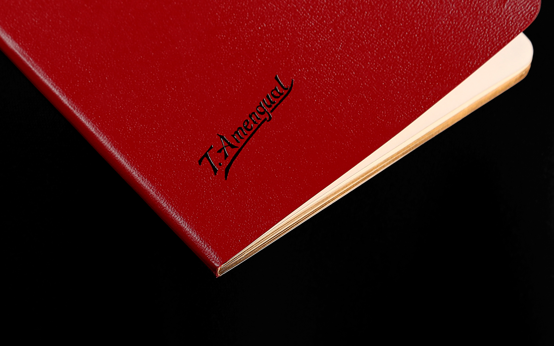 3tg — Tres Tipos Gráficos, project: Toni Amengual (fig. 3)